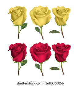 realistic rose design isolated on background. vector illustration