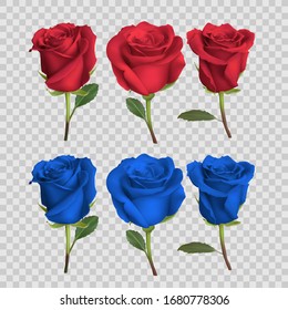 realistic rose design isolated on background. vector illustration