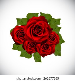 Realistic Rose High Quality Vector Illustration EPS10