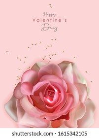 Realistic rose isolated with pink background, beautiful pink flower, romantic card, valentines day vector illustration 