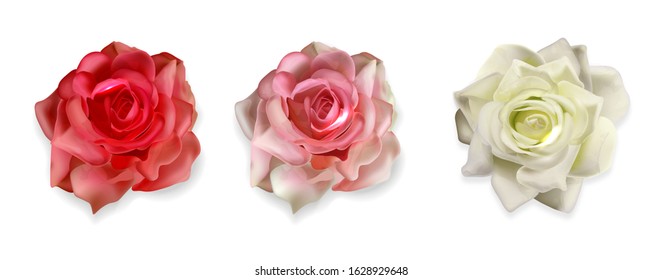 Realistic rose isolated set with white background, beautiful pink flower vector illustration, hello spring, weeding banner