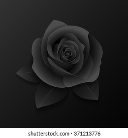 Realistic rose and leaves