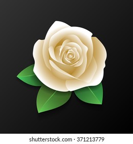 Realistic rose and leaves