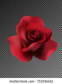 Realistic rose on isolation background. Vector illustration  