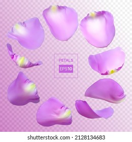 Pétalos de rosa realistas. Ilustración vectorial con gradientes de malla. EPS10.