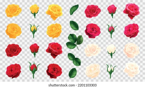 Conjunto de rosa realista de elementos florales aislados con brotes rojos amarillos y rosados y hojas ilustraciones vectoriales