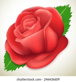 Realistic rose, vector illustration