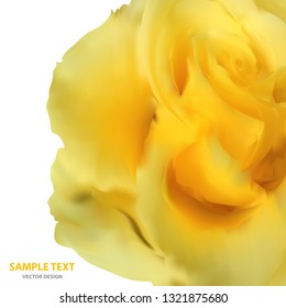 Realistic rose of yellow color, beauty queen. Isolated bud flower on white background. Vector illustration for your design.