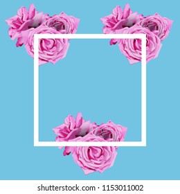 realistic roses with a frame on blue background