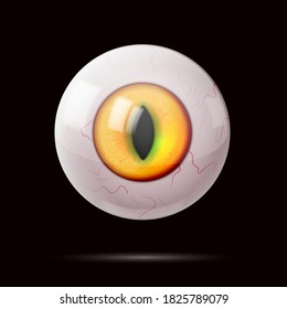 Realistic round eye with squirrel and elongated pupil. Vector illustration.