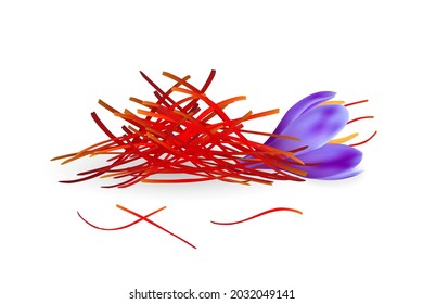 Realistic saffron pestles heap and fresh flower isolated on white background. Dried seasoning illustration.