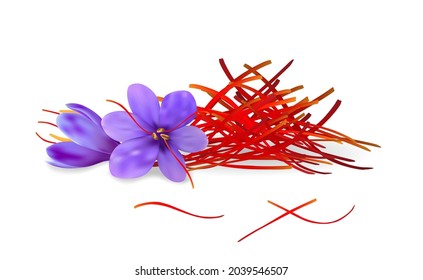 Realistic saffron pestles pile and purple crocus flowers. Dried spice threads vector illustration. Packaging design and decor