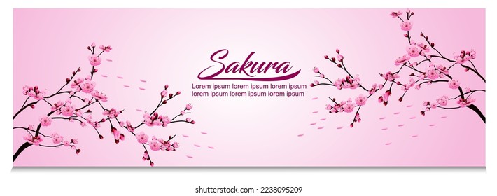 realistic sakura blooming flowers 

isolated
