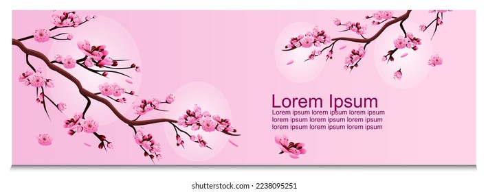 realistic sakura blooming flowers 

isolated