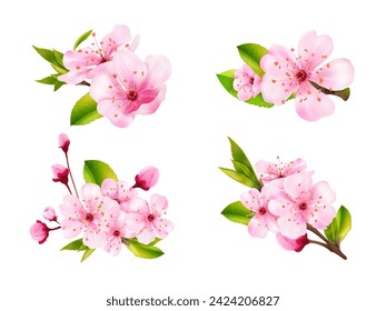 Realistic sakura bouquet. 3d blossom japanese cherry softness flowers for hanami festival or chinese spring season, pink flower bud vector illustration of blossom bouquet, cherry floral flower