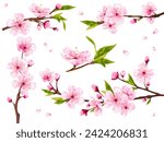 Realistic sakura branches. Blossom cherry branch flowers, asian flowering peach japanese tree in korea or chinese, pink bud flower spring blossoming, 3d vector illustration of sakura blossom flower