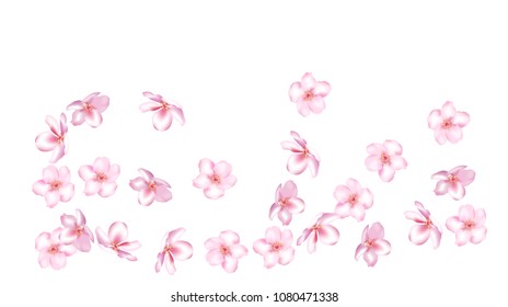 Realistic Sakura Cherry and Rose Petals Wedding Confetti. Shower Vector Peach Apple Blossom Spring Sakura Cherry and Rose Confetti Falling Down. Blooming Floral Design, Natural Cosmetics Background