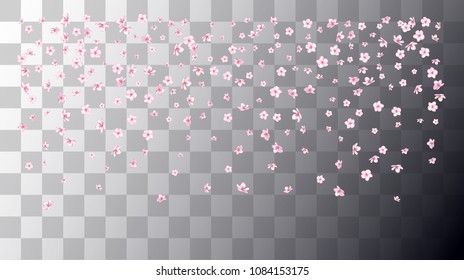 Realistic Sakura Cherry and Rose Petals Wedding Confetti. Spring Vector Peach, Apple Flower Spring Sakura Cherry and Rose Confetti Falling Down. Japanese Ornament Floral Natural Cosmetic Background