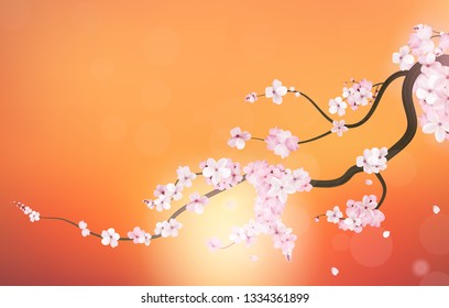 Realistic sakura japan cherry branch with blooming flowers. Vector illustration