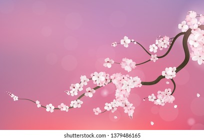 Realistic sakura japan cherry branch with blooming flowers. Vector illustration