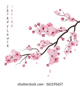 Реалистичная сакура японская вишня ветвь с цветущими цветами векторная иллюстрация