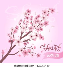 Realistic sakura japan cherry branch with blooming flowers vector illustration
