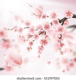Realistic sakura japan cherry branch with blooming flowers. EPS 10 vector file included