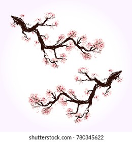 Realistic sakura japan cherry branch. Sakura branch on a white background. Vector illustration.