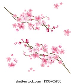 Realistic sakura tree branch. Elegant japanese symbol. Blooming plant twig with pink flower petals. Asian cultural symbol. Floral spring design decoration. Vector illustration.