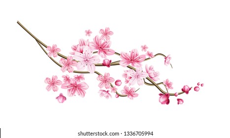 Realistic sakura tree branch. Elegant japanese symbol. Blooming plant twig with pink flower petals. Asian cultural symbol. Floral spring design decoration. Vector illustration.