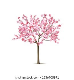 Realistic sakura tree. Elegant japanese symbol. Blooming plant with pink flower petals. Asian cultural symbol. Floral spring design decoration. Vector illustration.