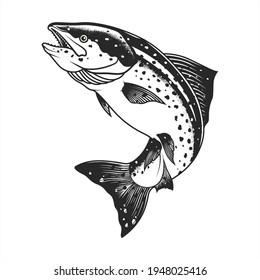 realistic salmon breed. vector illustration