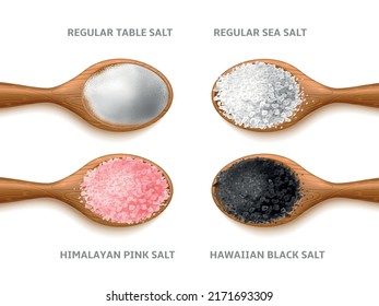 Realistic salt types. Cooking crystals and powder, different sea natural product in woden spoon, organic dry grains top view, pink himalayan, black hawaiian, various condiment, utter vector set