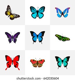 Realistic Sangaris, American Painted Lady, Polyommatus Icarus And Other Vector Elements. Set Of Beauty Realistic Symbols Also Includes Cypris, Yellow, Green Objects.