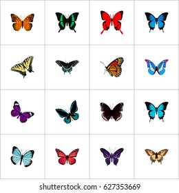 Realistic Sangaris, Common Blue, Milkweed And Other Vector Elements. Set Of Butterfly Realistic Symbols Also Includes Fly, Butterfly, Purple Objects.