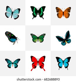 Realistic Sangaris, Danaus Plexippus, Lexias And Other Vector Elements. Set Of Butterfly Realistic Symbols Also Includes Red, Monarch, Butterfly Objects.