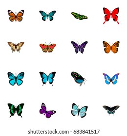 Realistic Sangaris, Green Peacock, Bluewing And Other Vector Elements. Set Of Beauty Realistic Symbols Also Includes Blue, Violet, Julia Objects.