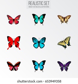 Realistic Sangaris, Tiger Swallowtail, Polyommatus Icarus And Other Vector Elements. Set Of Beauty Realistic Symbols Also Includes Violet, Swallowtail, Bluewing Objects.