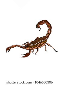 realistic scorpion cartoon illustration svg