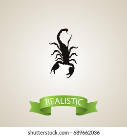 Realistic Scorpion Element. Vector Illustration Of Realistic Poisonous Isolated On Clean Background. Can Be Used As Scorpion, Insect And Poisonous Symbols.