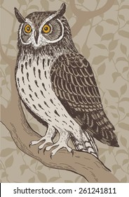 Realistic screech-owl hand drawn vector illustration