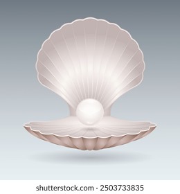 Realistic sea shell scallop with pearl.