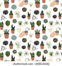 Realistic seamless pattern of color succulents and accessories