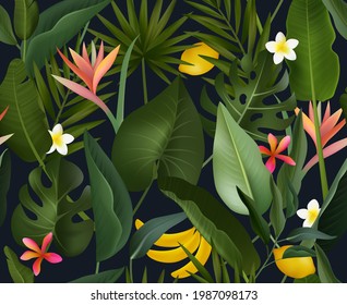 Patrón realista sin fisuras con hojas y frutos tropicales. Ilustración transparente del vector 