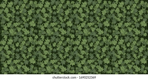 Realistic seamless wallpaper, background. Green Ivy braiding wall. Vector illustration