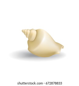 Realistic Seashell Isolated on White Background. Beautiful Clam Mollusc Shell. 3d Vector Sea Shell Illustration