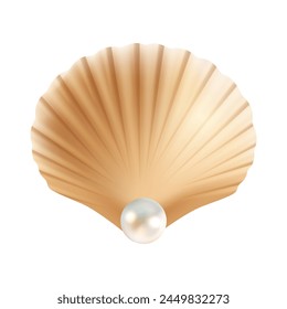 Realistic Seashell Isolated Vector Design on white background