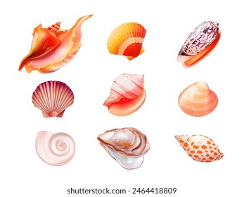 Realistic seashells. 3d shells sea object isolated seashell exotic aquatic animal conch oyster mollusk snail pearl unusual scallop summer beach elements, exact vector illustration