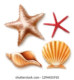 Realistic seashells and starfish collection. Pearl scallop, oyster shell set. Tropical underwater mollusks, exotic animals. Summer vacation, seashore party decoration design. Vector illustration
