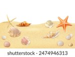 Realistic seaside beach sand top view, seashells and starfish on sandy shore. Vector summer frame with sea conches view from above. Tropical ocean shoreline texture, border for vacation holiday memory